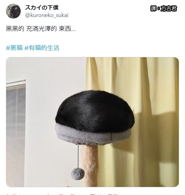 [轉載][方吉君翻推特] 推特上在夯什麼 Part.1670