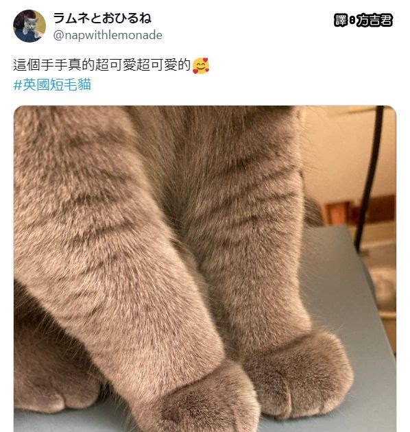 [轉載][方吉君翻推特] 推特上在夯什麼 Part.1690