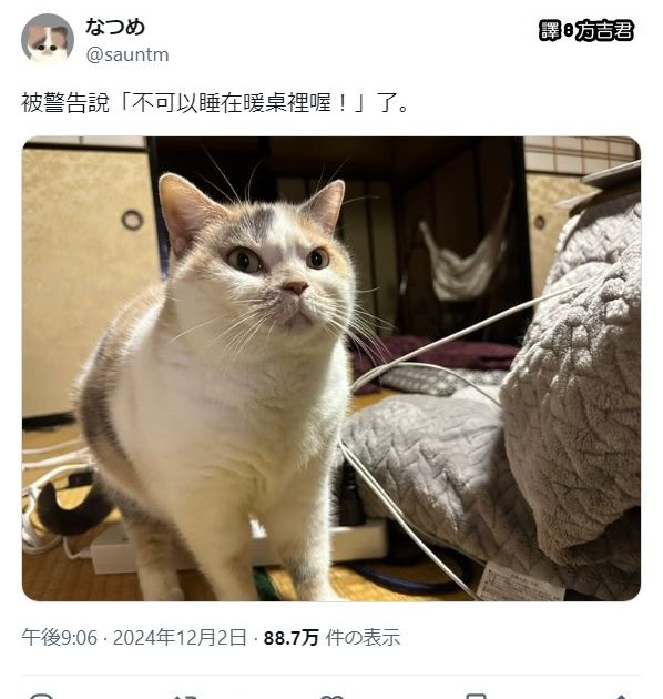 [轉載][方吉君翻推特] 推特上在夯什麼 Part.1719