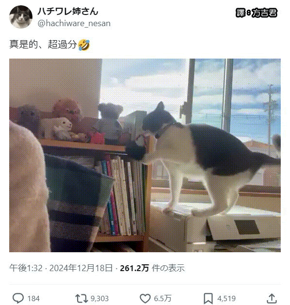 [轉載][方吉君翻推特] 推特上在夯什麼 Part.1736