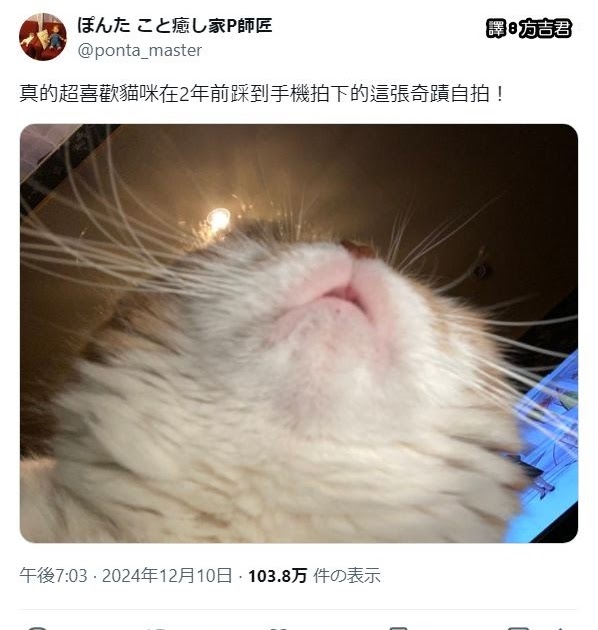 [轉載][方吉君翻推特] 推特上在夯什麼 Part.1741