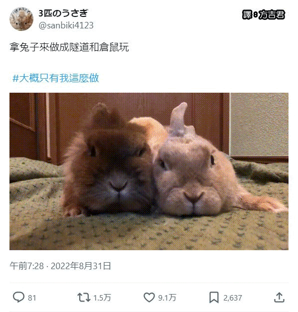 [轉載]推特上在夯什麼 Part.大概只有我這樣做 3.0