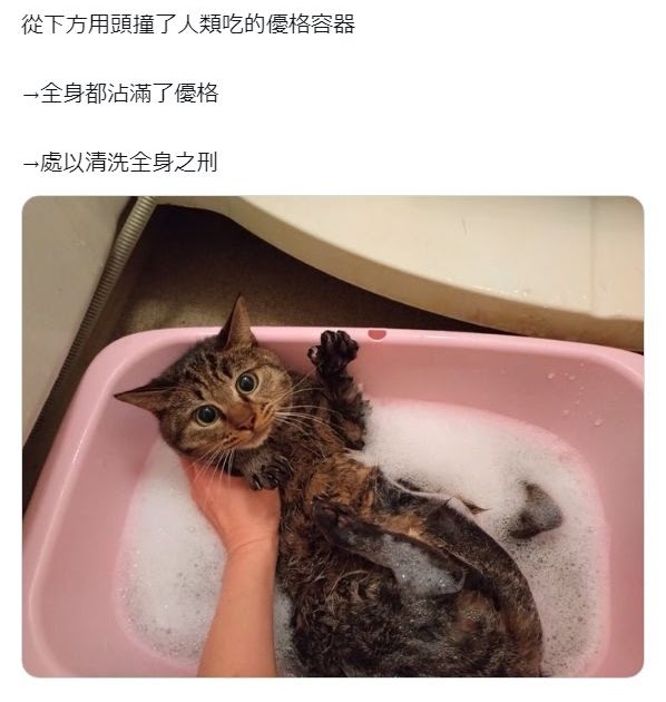 [轉載][方吉君翻推特] 推特上在夯什麼 Part.1750
