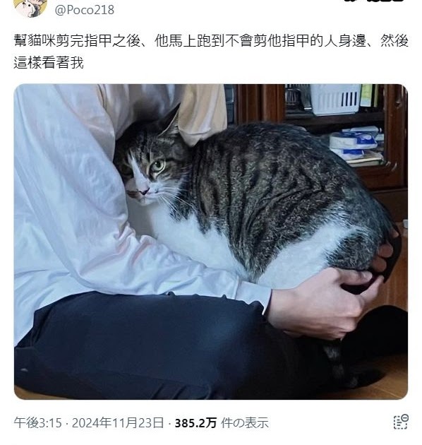 [轉載][方吉君翻推特] 推特上在夯什麼 Part.1751