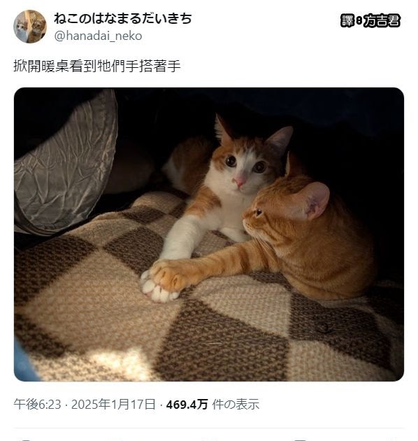 [轉載][方吉君翻推特] 推特上在夯什麼 Part.1767