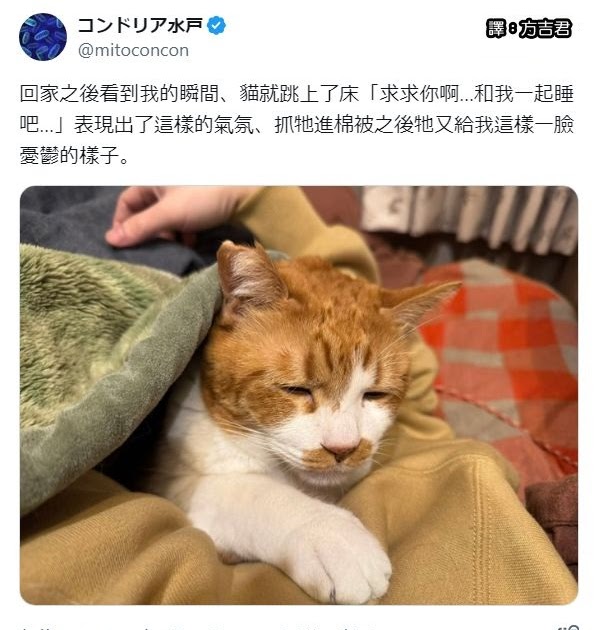[轉載][方吉君翻推特] 推特上在夯什麼 Part.1782