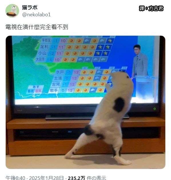 [轉載][方吉君翻推特] 推特上在夯什麼 Part.1784