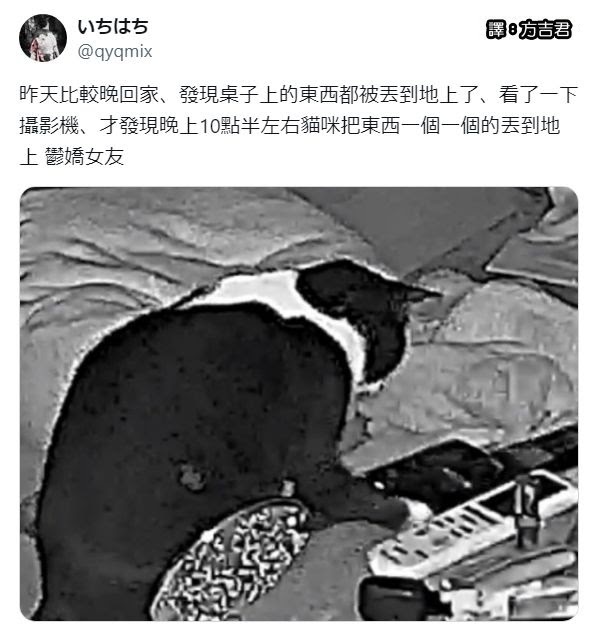 [轉載][方吉君翻推特] 推特上在夯什麼 Part.1788