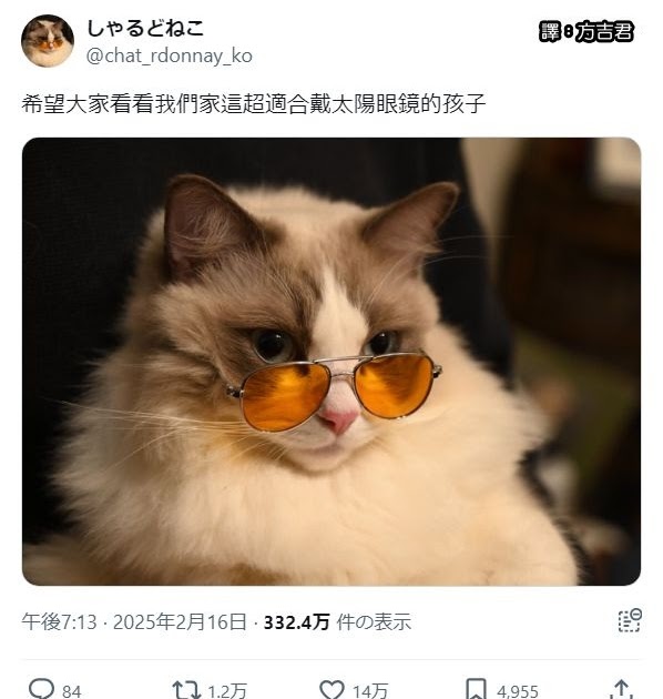 [轉載][方吉君翻推特] 推特上在夯什麼 Part.1804