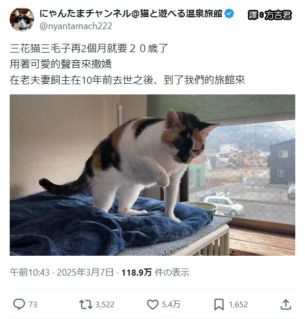 [轉載][方吉君翻推特] 推特上在夯什麼 Part.1822
