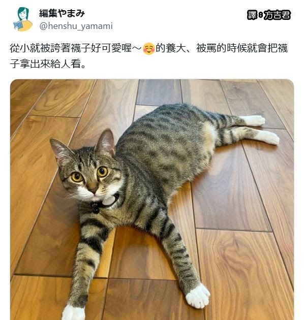 [轉載][方吉君翻推特] 推特上在夯什麼 Part.1854