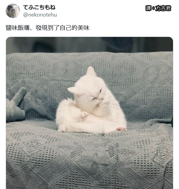 [轉載][方吉君翻推特] 推特上在夯什麼 Part.1856