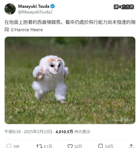 [轉載][方吉君翻推特] 推特上在夯什麼 Part.欸齁欸齁 1.0