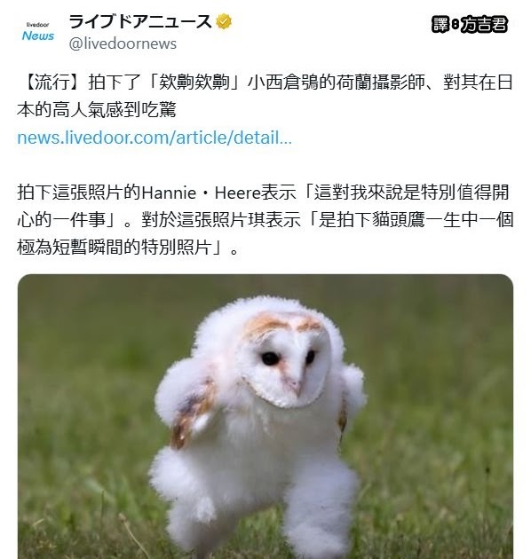 [轉載][方吉君翻推特] 推特上在夯什麼 Part.欸齁欸齁 2.0