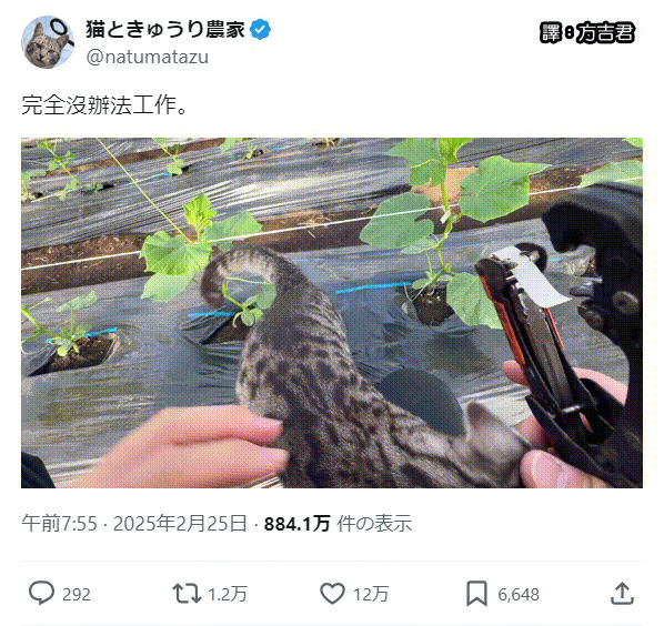 [轉載][方吉君翻推特] 推特上在夯什麼 Part.1834
