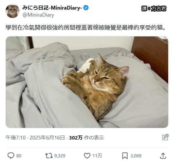 [轉載][方吉君翻推特] 推特上在夯什麼 Part.1909