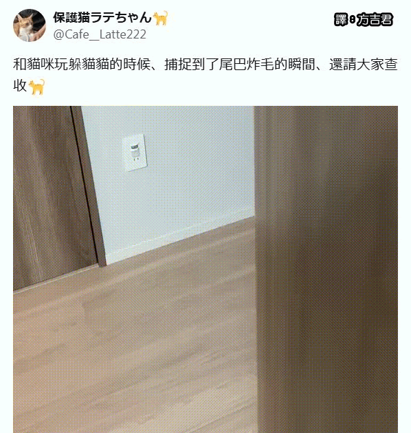 [轉載][方吉君翻推特] 推特上在夯什麼 Part.1917