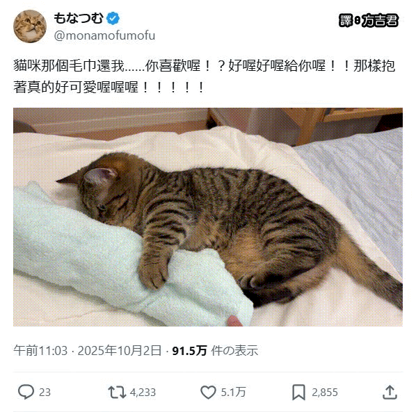 [轉載][方吉君翻推特] 推特上在夯什麼 Part.2018