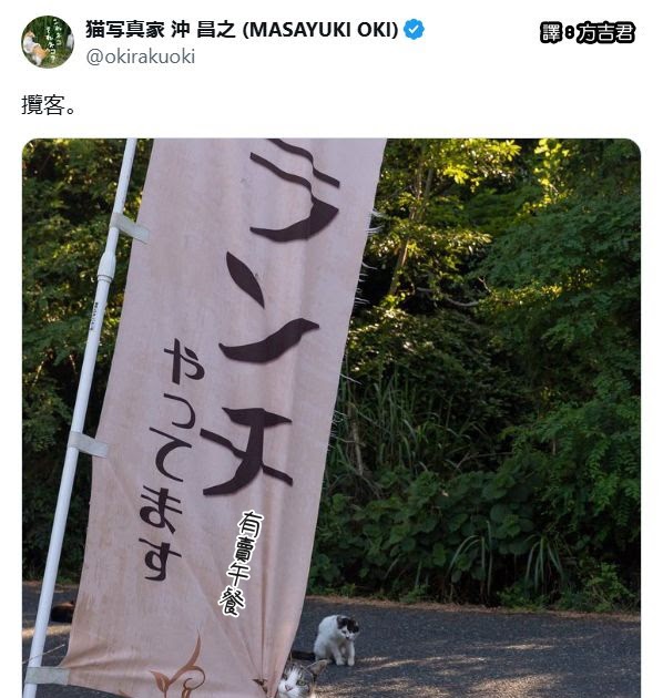 [轉載][方吉君翻推特] 推特上在夯什麼 Part.2020
