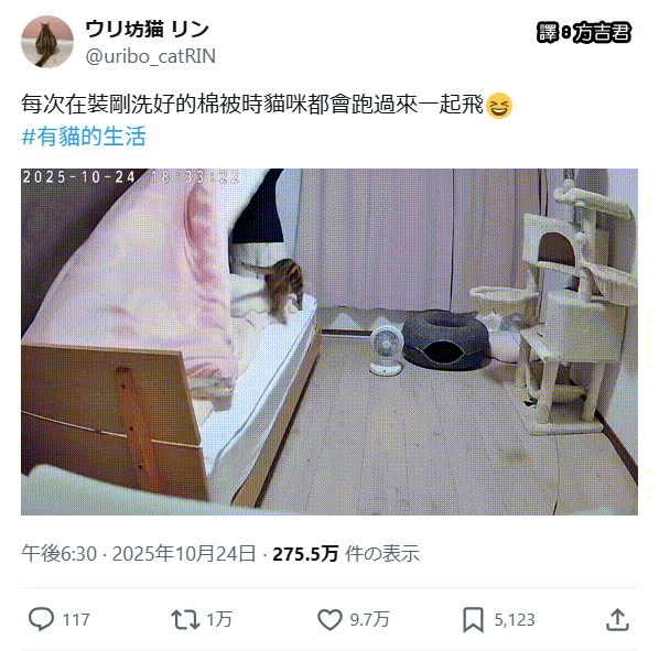 [轉載][方吉君翻推特] 推特上在夯什麼 Part.2029