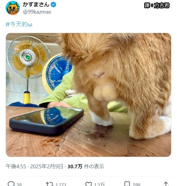 [轉載][方吉君翻推特] 推特上在夯什麼 Part.2053