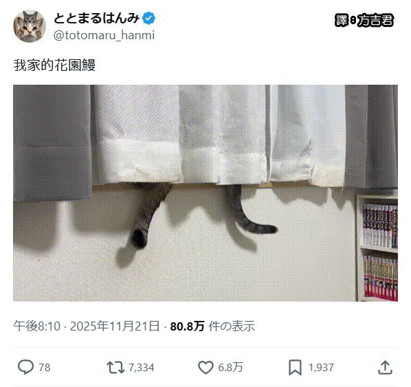 [轉載][方吉君翻推特] 推特上在夯什麼 Part.2061