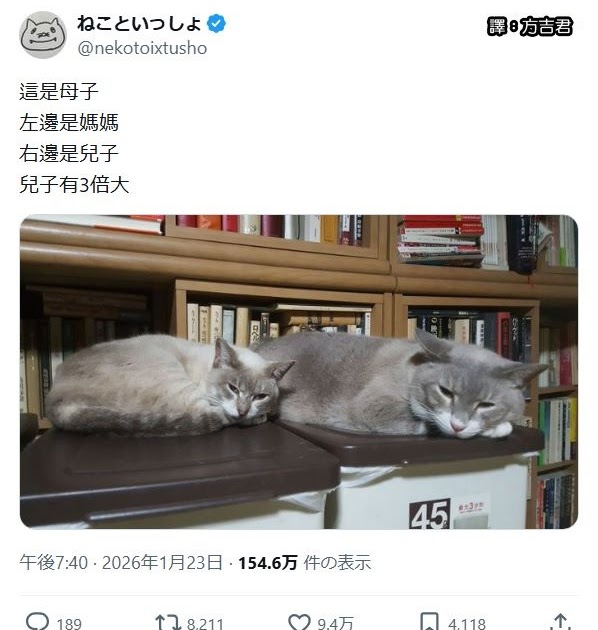 [轉載][方吉君翻推特] 推特上在夯什麼 Part.2117