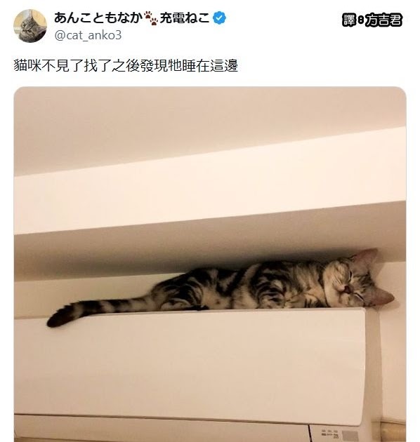 [轉載][方吉君翻推特] 推特上在夯什麼 Part.2124