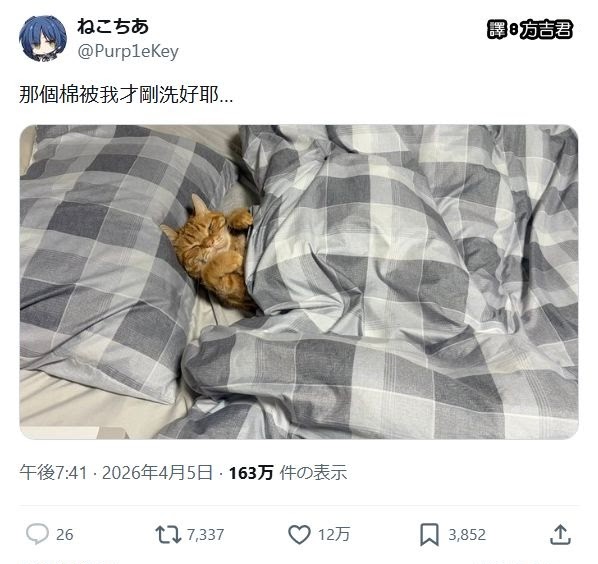 [轉載][方吉君翻推特] 推特上在夯什麼 Part.2186