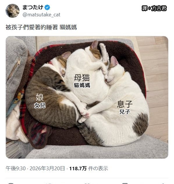[轉載][方吉君翻推特] 推特上在夯什麼 Part.2200