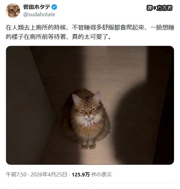 [轉載][方吉君翻推特] 推特上在夯什麼 Part.2205