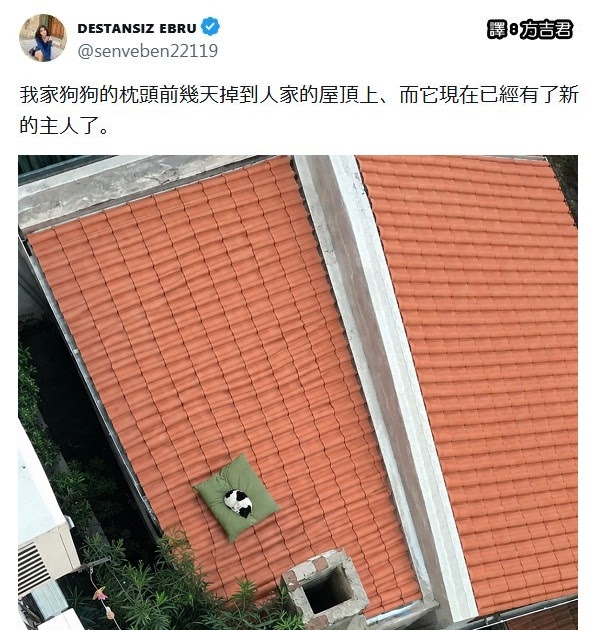 [轉載][方吉君翻推特] 推特上在夯什麼 Part.2209