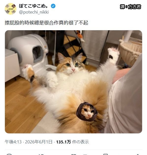 [轉載][方吉君翻推特] 推特上在夯什麼 Part.2238