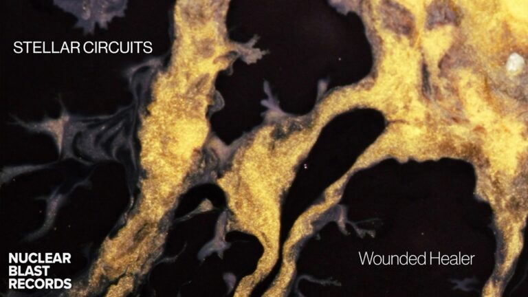 STELLAR CIRCUITS – Wounded Healer (OFFICIAL LYRIC VISUALIZER)
