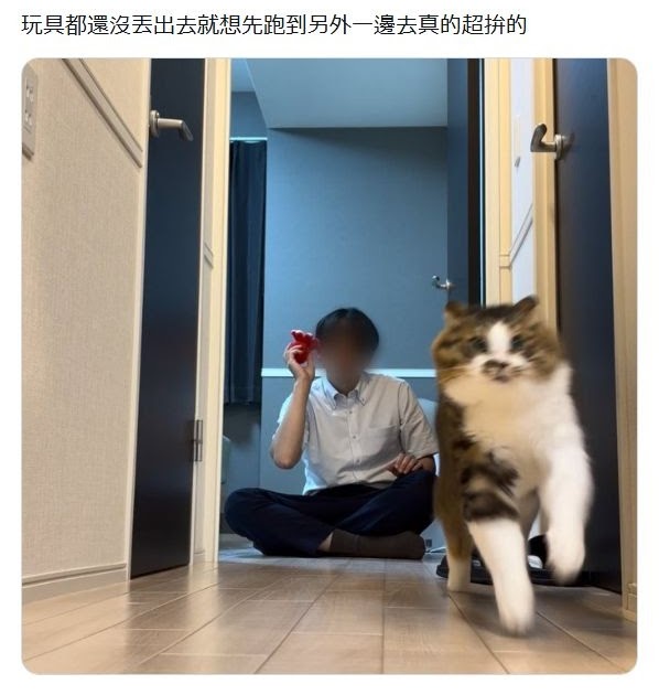 [轉載][方吉君翻推特] 推特上在夯什麼 Part.2255