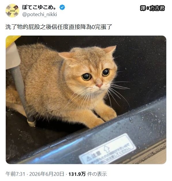 [轉載][方吉君翻推特] 推特上在夯什麼 Part.2258