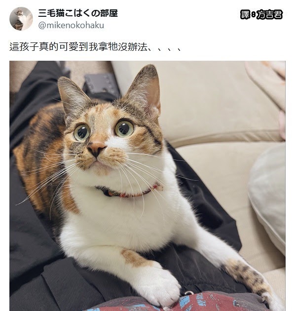 [轉載][方吉君翻推特] 推特上在夯什麼 Part.2273