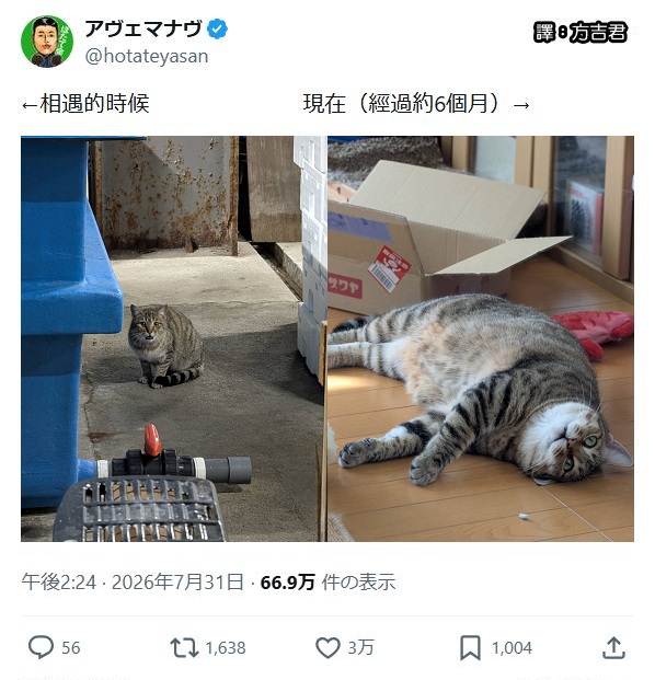 [轉載][方吉君翻推特] 推特上在夯什麼 Part.2318