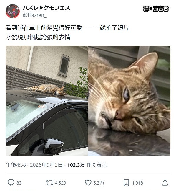 [轉載][方吉君翻推特] 推特上在夯什麼 Part.2317