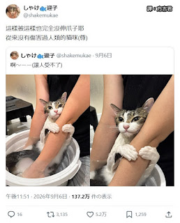[轉載][方吉君翻推特] 推特上在夯什麼 Part.2322