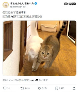 [轉載][方吉君翻推特] 推特上在夯什麼 Part.2343